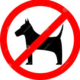 NO Dogs allowed NO Dogs allowed